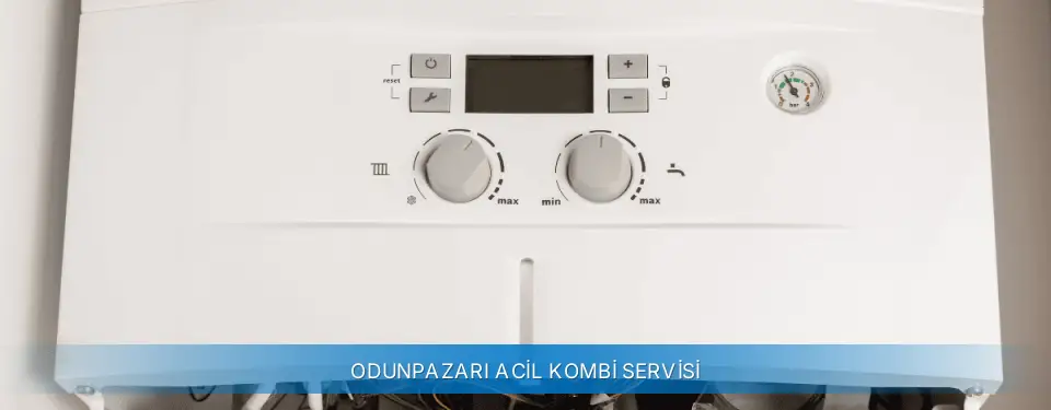 Odunpazarı İlçemi Sanica Acil Kombi Servisi