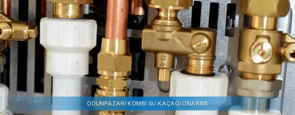 Odunpazarı İlçemi Sanica Kombi Su Kaçağı Onarımı